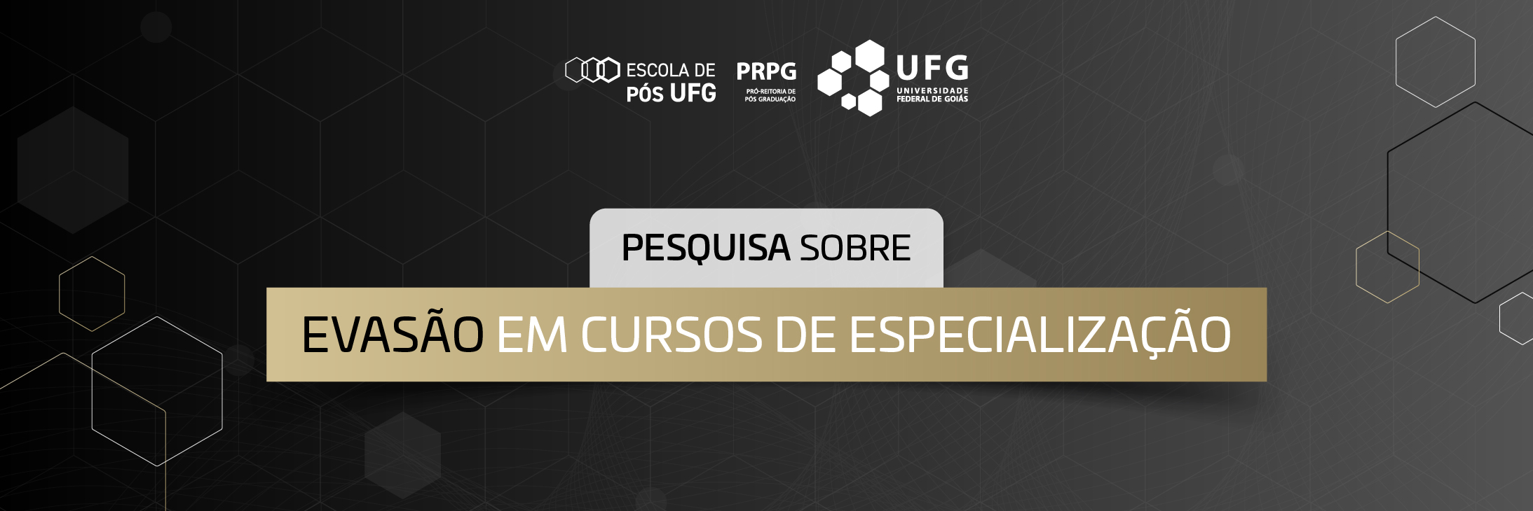 Perspectiva dos Coordenadores sobre Evasão em Cursos de Especialização da UFG